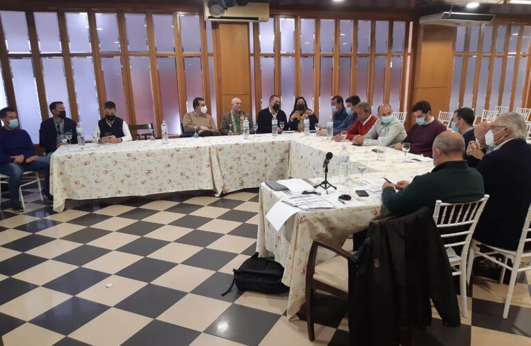 Córdoba. La provincia registra un ligero descenso de superficie de siembra de ajo