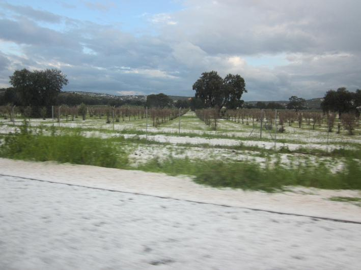 ASAJA Ciudad Real recomienda la suscripción de seguros agrarios contra los fenómenos meteorológicos adversos