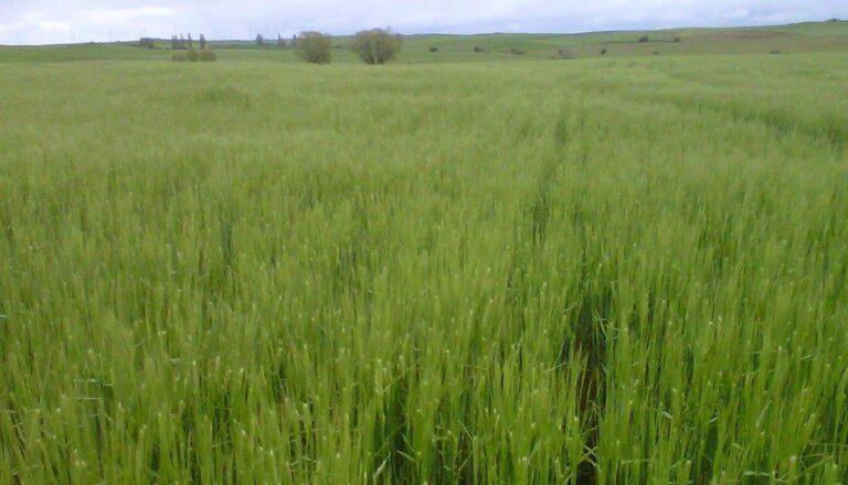 Asaja de León se opone a que el proyecto regional “La Robla Green” expropie fincas rústicas