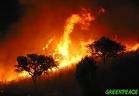 AVA-ASAJA cifra en 21,2 millones los daños directos  causados por los incendios en el sector agropecuario