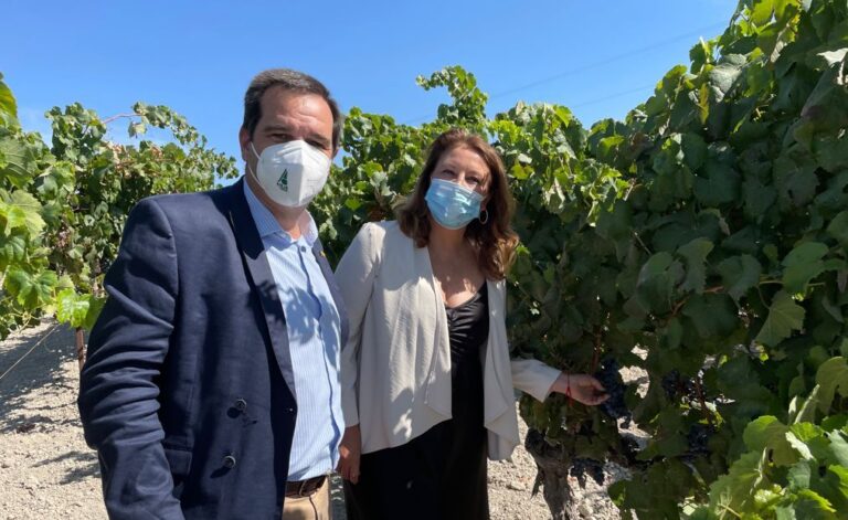 Asaja-Cádiz pide que la nueva PAC contemple el mismo número de regiones agroecológicas que regiones productivas en la provincia