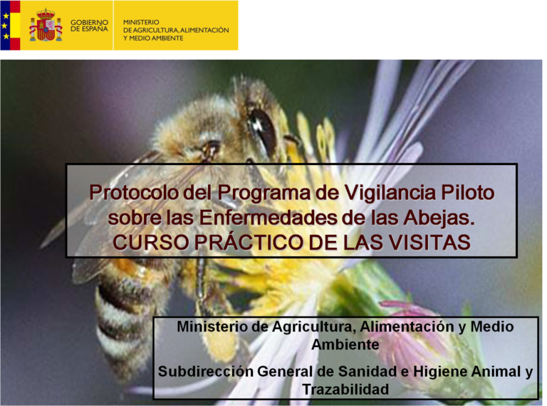 Curso práctico de las visitas del Programa de vigilancia de enfermedades de las abejas