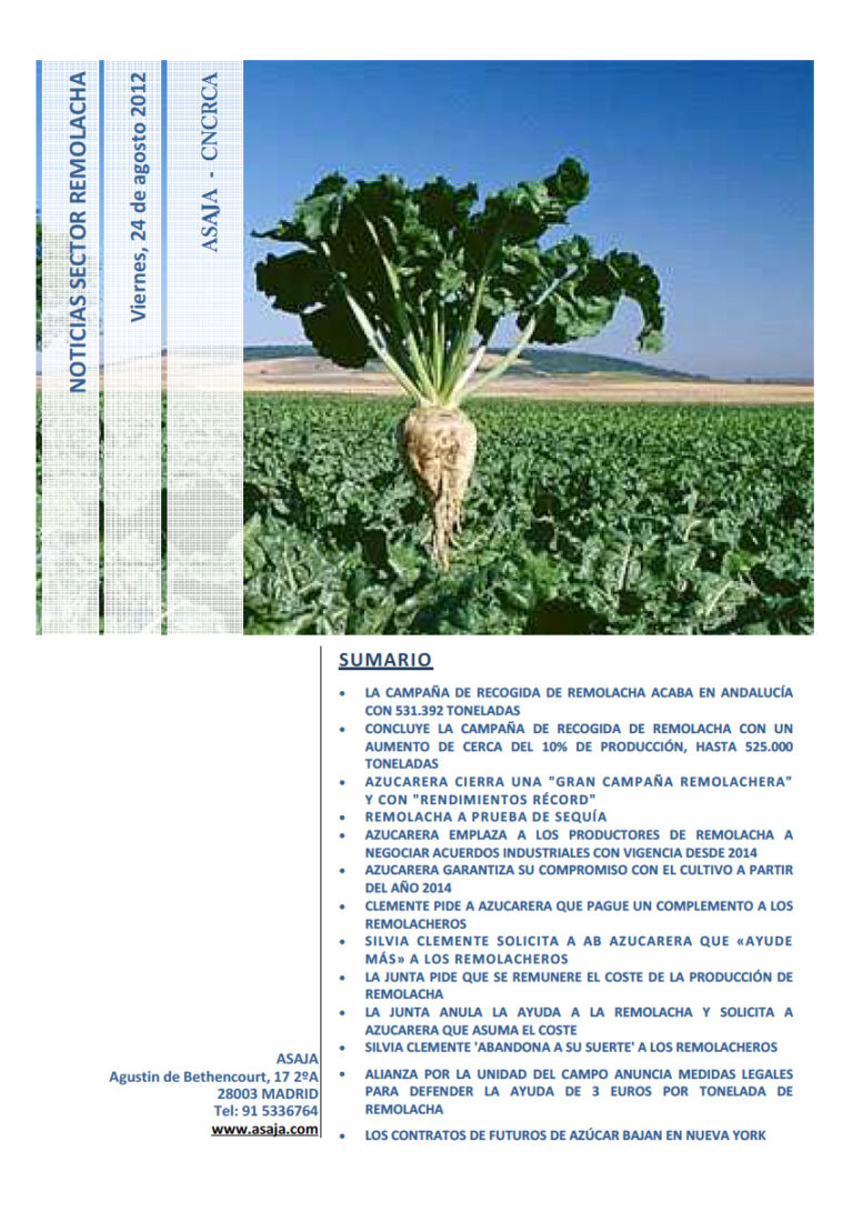 Noticias Sector Remolacha (Viernes, 24 de agosto de 2012)
