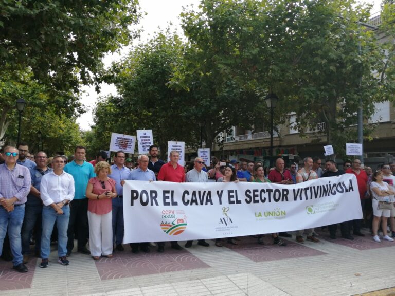 Una manifestación de un millar de viticultores y 200 tractores reclama en Requena precios dignos de la uva para vino y cava