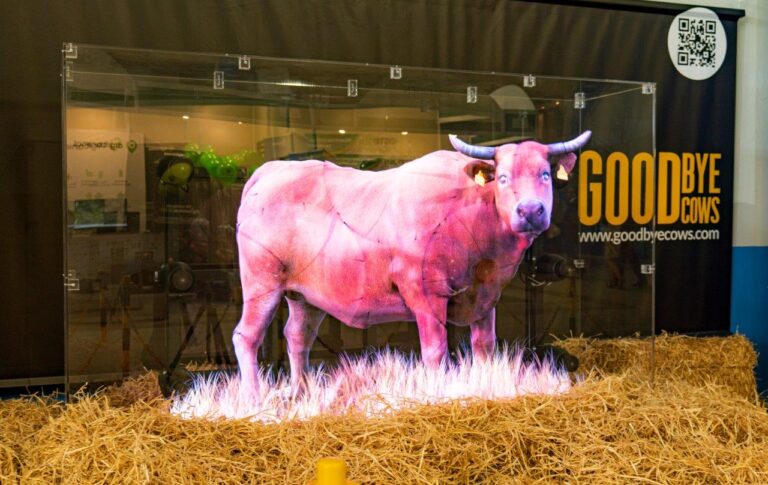 PROVACUNO escenifica las consecuencias de un mundo sin vacas en Salamaq