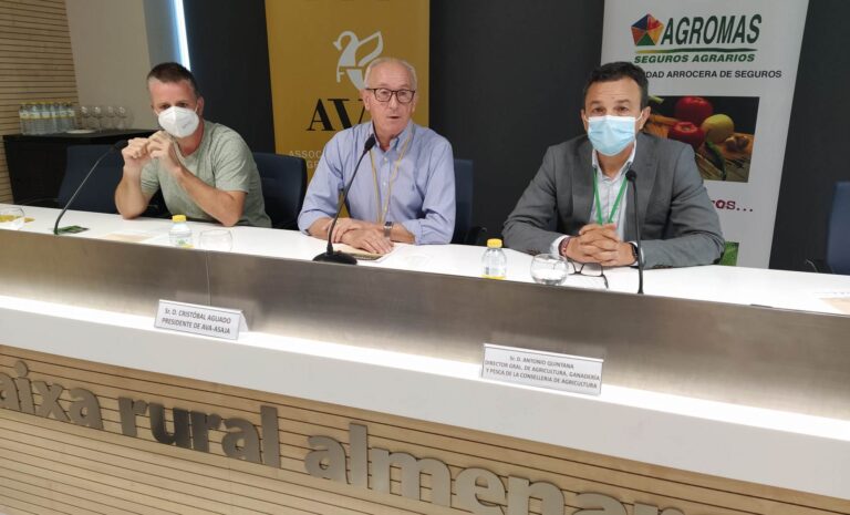 Asaja Valencia AVA exige en la zona cero del cotonet de Sudáfrica un mayor esfuerzo inversor para acelerar soluciones