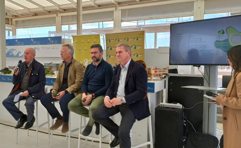Asaja Valencia AVA y ASOPROA anuncian que ya se puede consumir aguacate valenciano todo el año