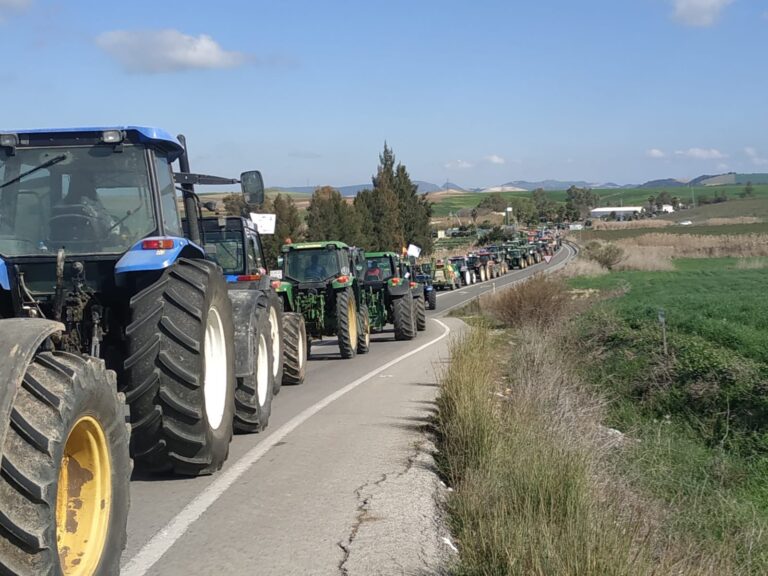 Las organizaciones agrarias y cooperativas convocan movilizaciones en Jerez y en el Puerto de Algeciras