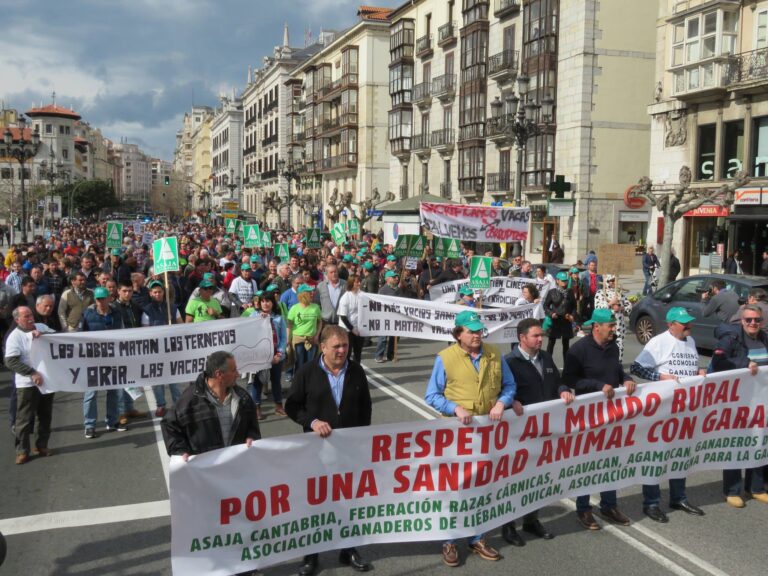 ASAJA Cantabria valora positivamente la manifestación secundada por cerca de 2.000 ganaderos