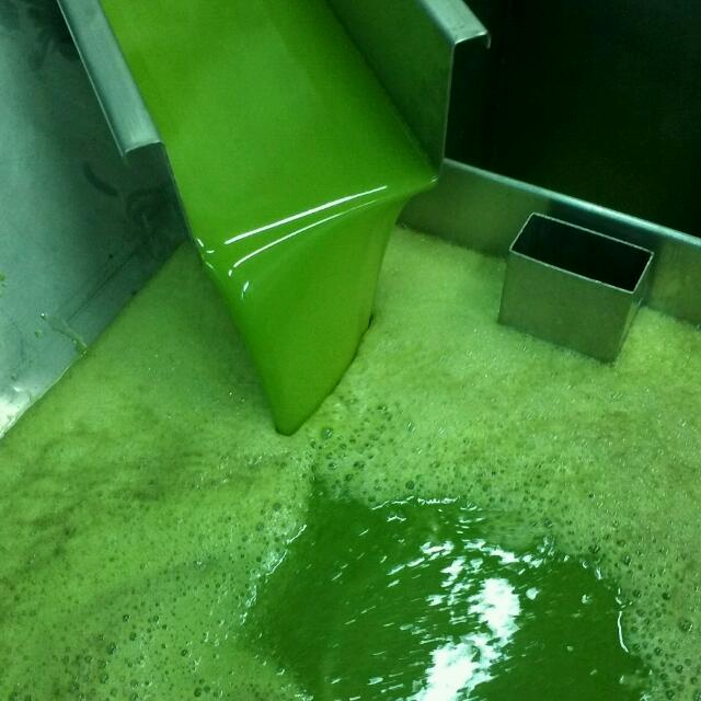 Asaja Córdoba critica que la AICA sancione a las almazaras industriales por pagar el aceite a los agricultores cuando ellos lo deciden