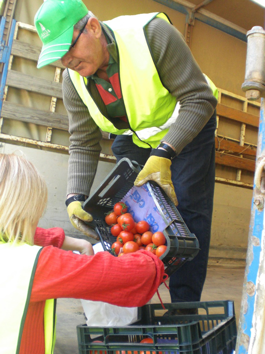 ASAJA Almería advierte que el comercio almeriense vende el tomate 16 céntimos más barato que la media de la UE y 60 céntimos menos que Francia