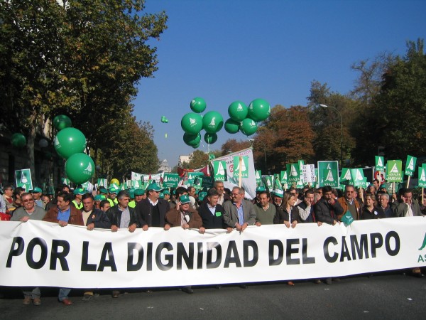Miles de agricultores y ganaderos participan hoy en las movilizaciones convocadas en las cinco capitales de Castilla La Mancha