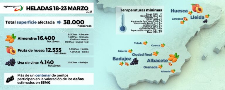 Agroseguro confirma la gravedad de las heladas registradas durante el puente de San José: la estimación de daños alcanza los 55 millones de euros