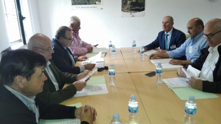 ASAJA-Jaén insiste en la necesidad de asociar el aceite a otros productos del monte como la miel para seguir dando valor añadido a nuestro olivar