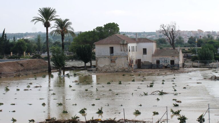 Asaja Alicante denuncia que el Gobierno deja tirados a los afectados por la DANA al no corregir los módulos para que les aplique rebajas de los módulos y un IRPF más justos
