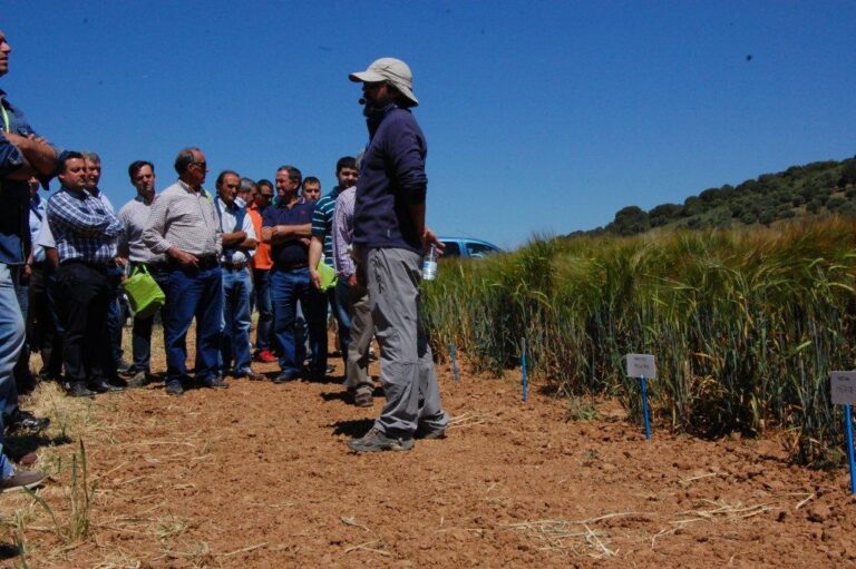 300 agricultores se informan en Coagral sobre el uso de Semilla Certificada