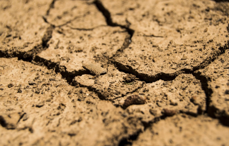 ASAJA, COAG y Cooperativas Agro-alimentarias piden al Ministerio de Agricultura la convocatoria urgente de la Mesa de la Sequía