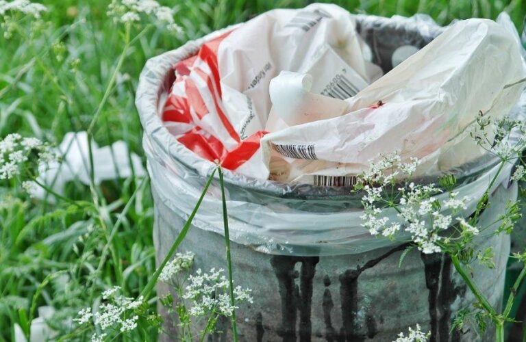 Bruselas propone establecer objetivos jurídicamente vinculantes para reducir el desperdicio de alimentos