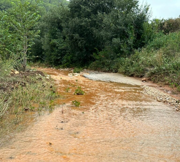La DANA provoca daños en infraestructuras agrarias y en campos de almendras pendientes de recolectar