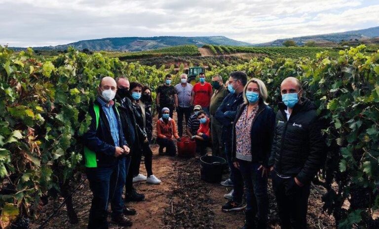 Asaja Rioja pide a agricultura que se “ponga el ojo” en las operaciones de compra de uva que están por debajo de los costes de producción
