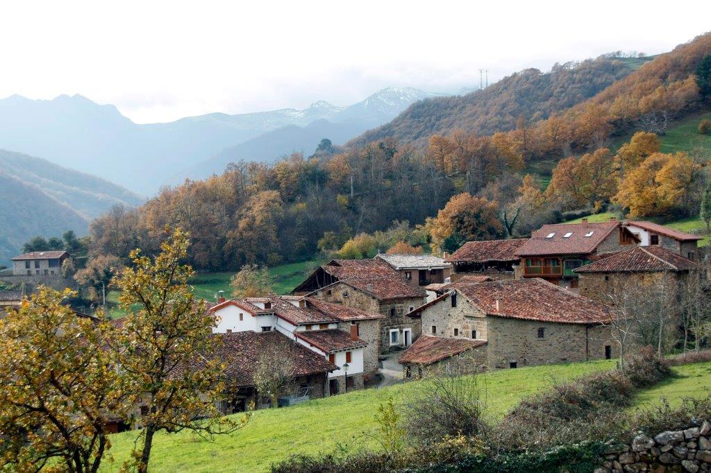 Ser Rural Carne silvestre, clave para el desarrollo rural - Asaja