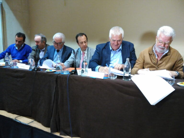 Productores y desmotadoras impulsan la constitución de la interprofesional del algodón