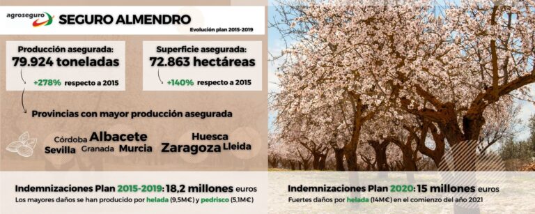 El almendro gana peso dentro del seguro agrario: la producción asegurada crece un 278% en cinco años