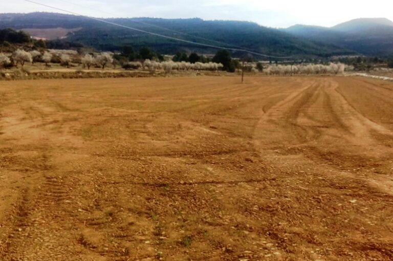 La sequía y las inundaciones amenazan la producción agrícola en la UE: COPA y COGECA piden flexibilidades en la PAC