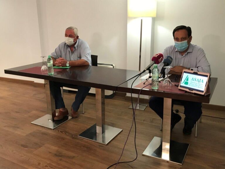 Resumen de los costes de producción de la uva elaborado por la Asaja CLM, adaptando a la región el estudio de costes elaborado por varias universidades españolas.