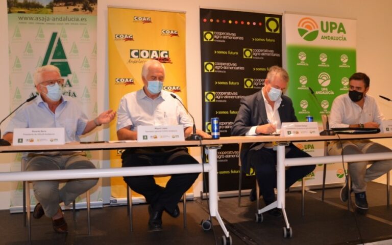 El sector agrario alerta de la pérdida de renta que provocarán los ecoesquemas en Andalucía