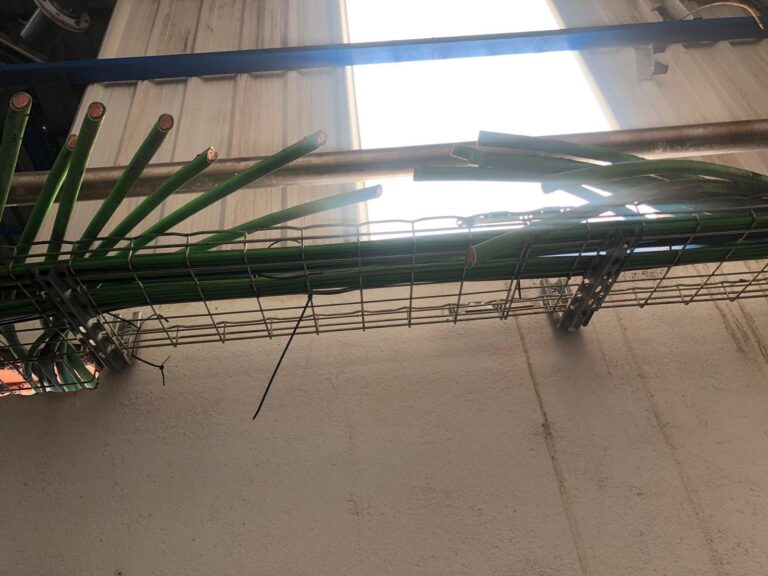 Asaja alerta de robos en empresas oleícolas de la comarca de los montes de Toledo