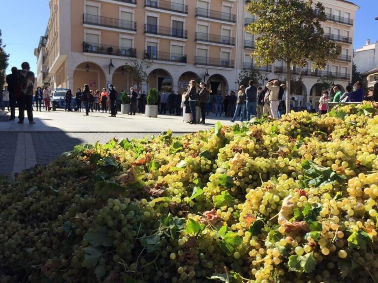 Las uvas por los suelos para hacer visible la situación de los viticultores y reivindicar precios justos