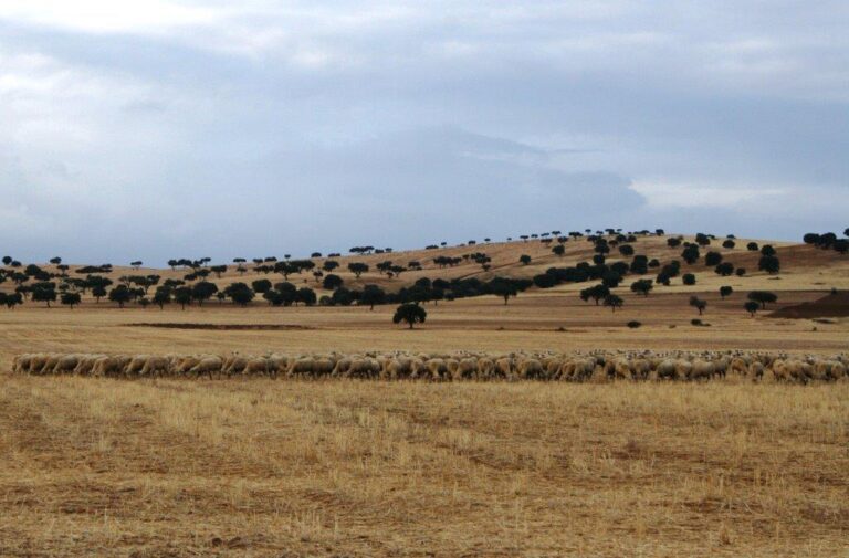 Asaja Córdoba asiste a la primera jornada participativa de la ZEPA ‘Alto Guadiato’