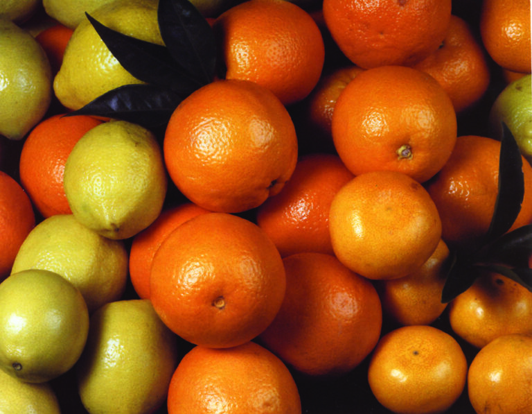 Brasil suspende su exportación de naranjas a la UE tras las advertencias de la Comisión por el exceso de plagas