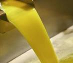 ASAJA  estima la cosecha de aceite de oliva en 750.000  toneladas