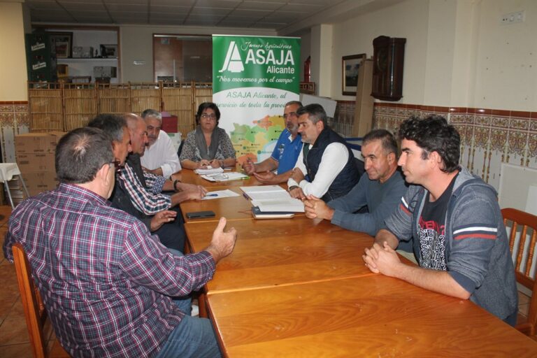 ASAJA crea la Sectorial del Arroz de Alicante en Pego