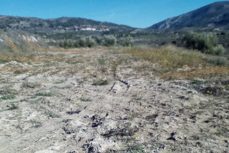 ASAJA Alicante pide a la Conselleria de Agricultura que no se olvide de cereza de la Montaña de Alicante y de los problemas específicos del sector en la provincia