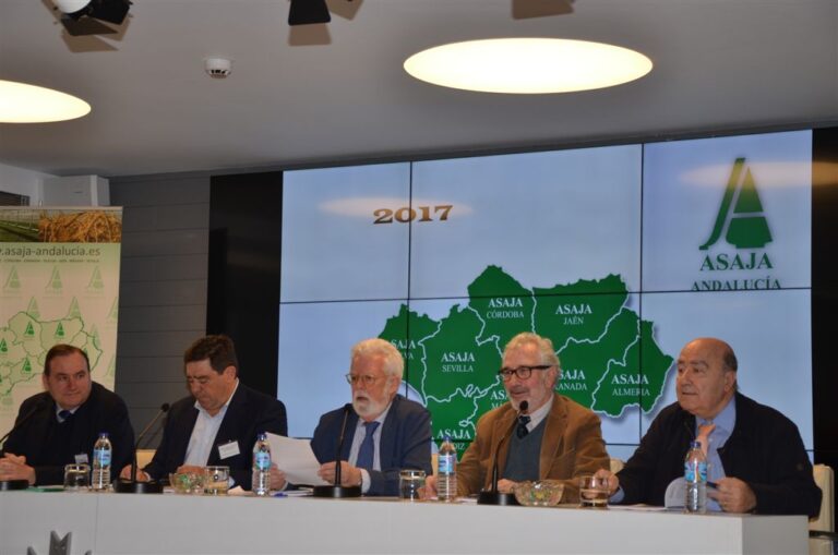 Los agricultores y ganaderos andaluces confirman que las lluvias de la última semana constituyen un auténtico alivio, pues si bien no resuelven el déficit hídrico, si revierten el panorama sombrío con el que se afrontaba el año agrario