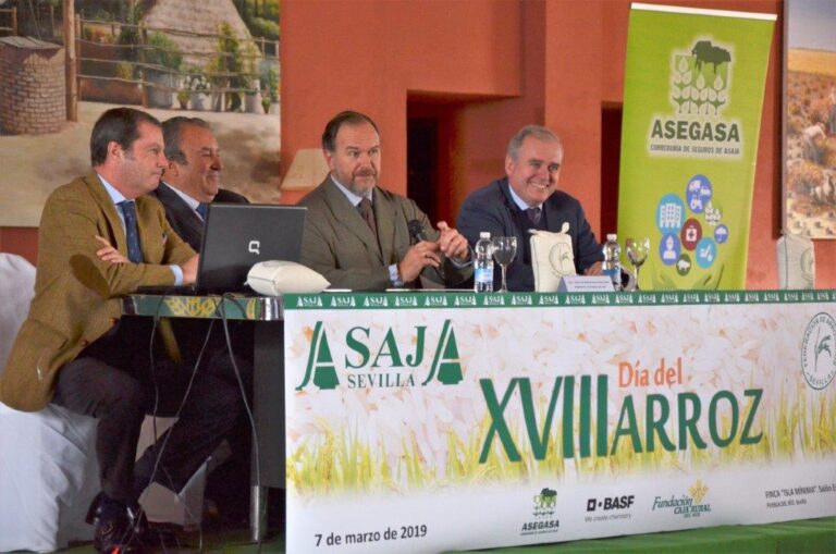 La imposición de aranceles al arroz de Camboya y Birmania permitirá incrementar los envíos a la UE y recuperar los precios