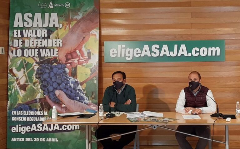Asaja sigue reclamando fondos extraordinarios para ayudar al sector vitivinícola