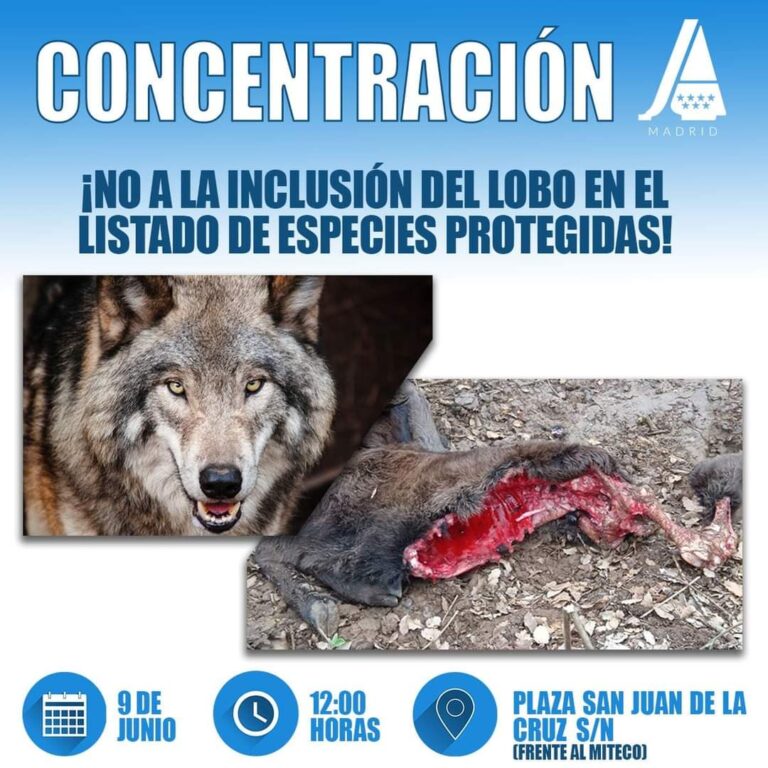 La plataforma «GANADER@ VIV@» convoca una concentración el 9 de junio contra la protección del lobo