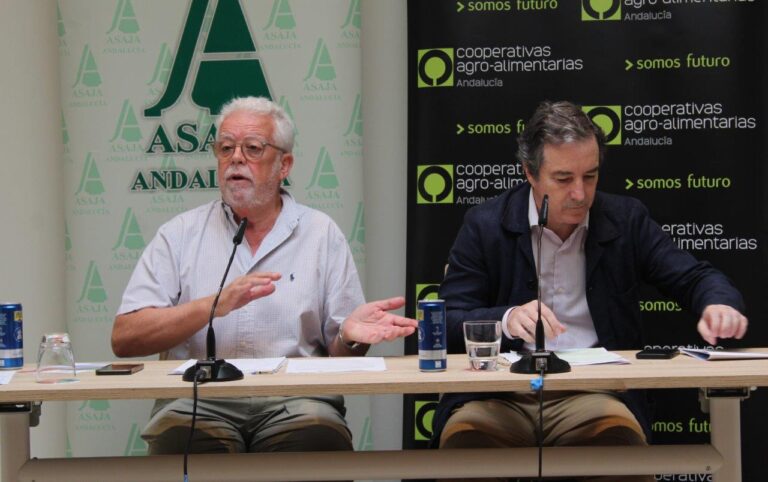 Andalucía pide al Ministerio de Agricultura que aproveche el tiempo de descuento para incorporar sus demandas sobre el Plan Estratégico de la PAC