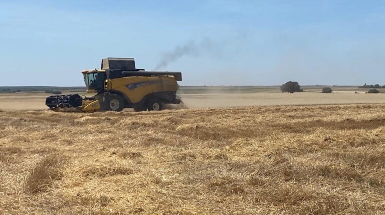 Asaja estima una cosecha regular, tirando a mala, en la provincia de Ávila