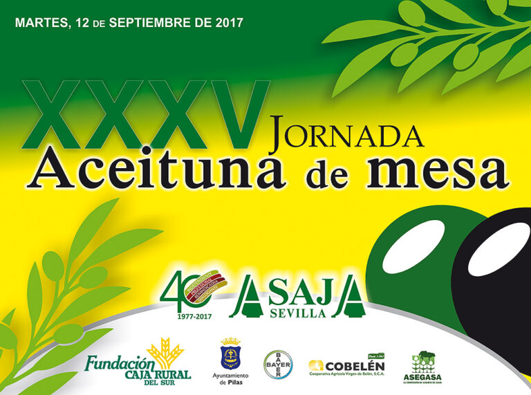 Asaja Sevilla: Preocupación entre los agricultores por la escasez de precipitaciones y las altas temperaturas en el arranque de una nueva campaña de verdeo