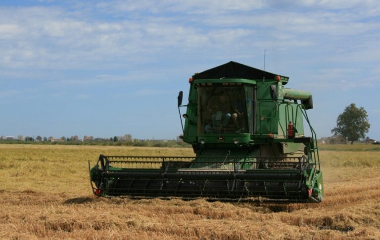 La siega del arroz arranca con buenas perspectivas debido al descenso de importaciones por el Covid-19