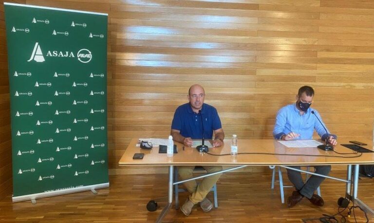 Asaja Rioja ARAG advierte a las bodegas de que los precios de la uva deben mejorar en un contexto de recuperación de ventas