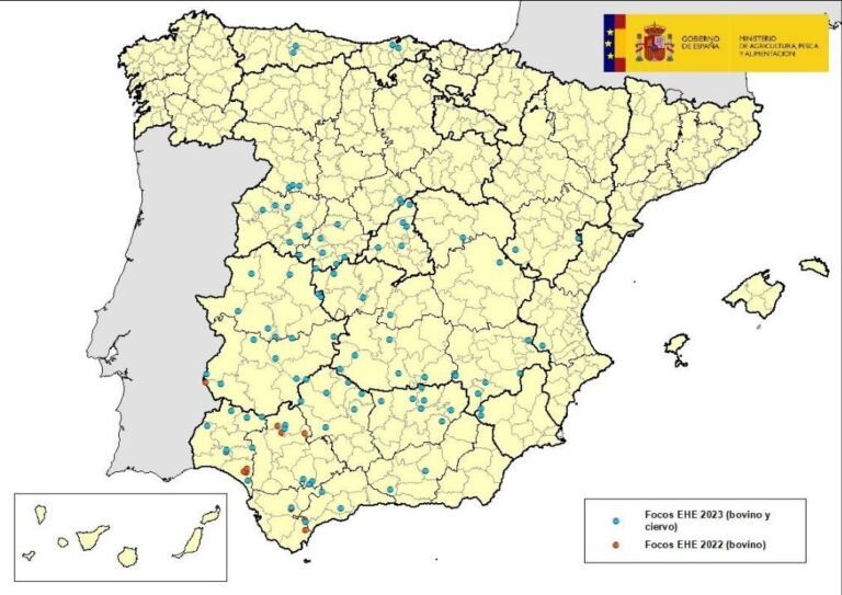 Actualización situación de enfermedad hemorrágica epizoótica (5/09/2023)