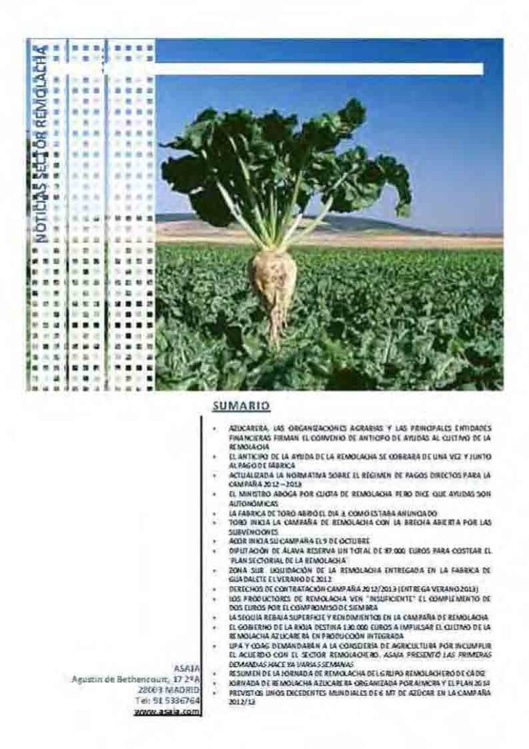 Noticias Sector Remolacha (Viernes, 5 de octubre de 2012)