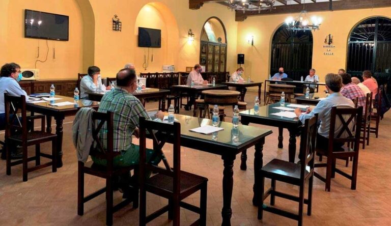 La sectorial de viñedo aborda la caída de ventas de un 12%