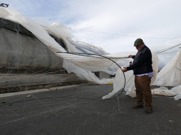 Asaja Almería intensifica el trabajo de cuantificación y visita a explotaciones afectadas por el tornado del pasado sábado